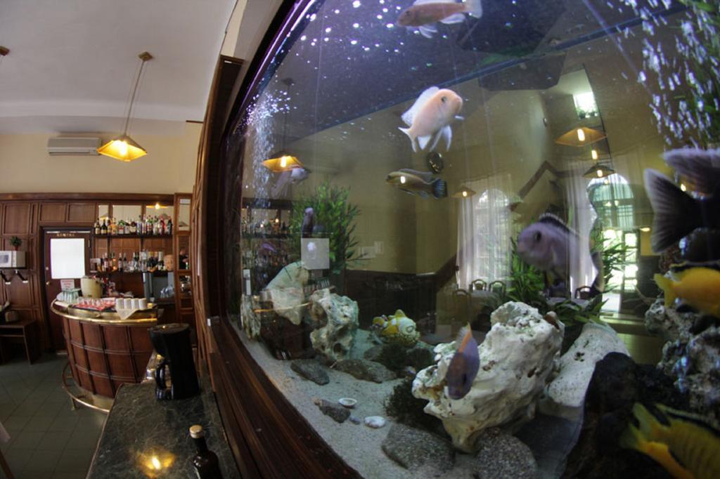 Hotel Omnibusz Budapest Luaran gambar