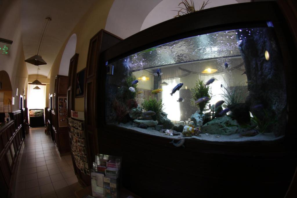 Hotel Omnibusz Budapest Luaran gambar